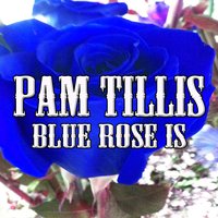 Long Drive to Dallas - Pam Tillis