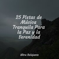Gotitas De Maravilla - Masajes Spas & Jazz Para Crianças & Canciones Infantiles De Niños