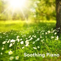 In Your Eyes I Surrender - Piano Suave Relajante & Classical New Age Piano Music & Piano for Studying