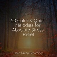 Lazy Sunset - Musica Relaxante & Relaxing Nature Music & Deep Sleep Music Delta Binaural 432 Hz