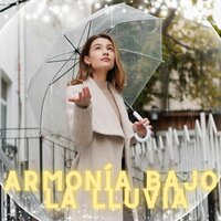 Calma en el Refugio - Musica para campar en un dia lluviosos