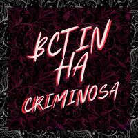 Bctinha Criminosa - DJ LIMA 015 & DJ JUNIOR 015