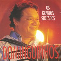Por essa paixão - Dominguinhos