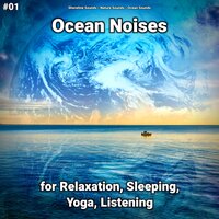 Ocean Noises Part 28 - shoreline sounds & Nature Sounds & Ocean Sounds