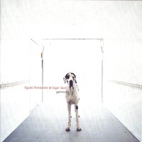 Capaz De Luz - Agusti Fernandez & Ingar Zach