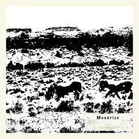 Dead Fire - Evan Jenkins & Anthony Dominic & Dominic Marsh & Pat West