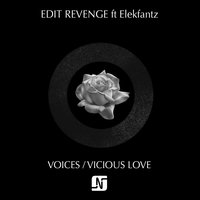 Voices - Elekfantz & Edit Revenge