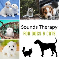 Sounds for Puppy - Pet Music Academy