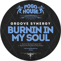 Burnin In My Soul - Groove Synergy & Martin Depp