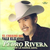 Que Te Hizo Olvidarme - Pedro Rivera