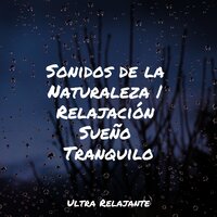Profundidad Infinita - Meditación Guiada & Meditação Maestro & Música ambiental relajante