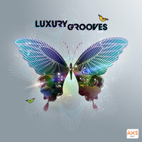 Brand New Dream - AXS MUSIC
