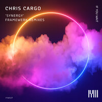 Synergy - Chris Cargo