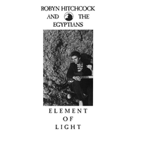 The President - Robyn Hitchcock & The Egyptians