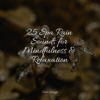 Wet Glass Rains - Healing Sounds for Deep Sleep and Relaxation & Nature Sounds for Concentration & Chakra Balancing Sound Therapy