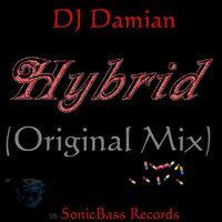 Hybrid - DJ Damian