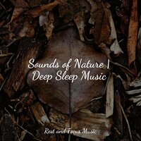 Tranquilizing Musical Pleasures - Avslappning Sound & Powerthoughts Meditation Club & White Noise Relaxation