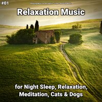 Relaxation Music Part 89 - Relaxing Music by Rey Henris & Yoga & Relaxing music