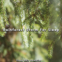 Birdsong Relaxation - Sleep Rain Memories