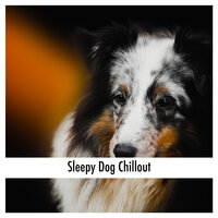 Relaxed Pet Time - Relaxing Dog Music