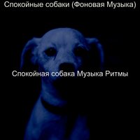 Музыка (Спокойные собаки) - Спокойная собака Музыка Ритмы