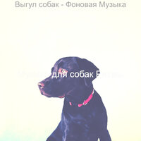 Моменты (Щенки) - Музыка для собак Ритмы