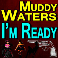 Rollin' Stone - Muddy Waters