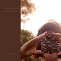 There's Nothing Missing - The Very Most