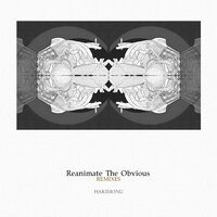 Reanimate The Obvious - Hakimonu & Lonya