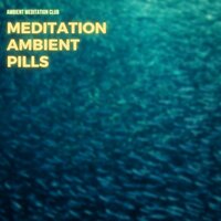 Song of the Mountains - Ambient Meditation Club