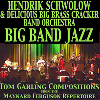 You Got It - Hendrik Schwolow & DeliciousBigBrassCrackerBandOrchestra