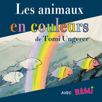 L'oiseau pianiste - REMI GUICHARD