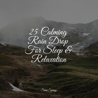 Delicate Rains - Natural Rain Sounds for Sleeping & Asian Zen Spa Music Meditation & Natural Sample Makers