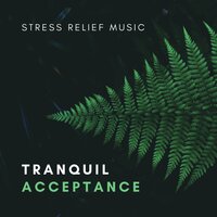 Serenity – Soft Rain Sounds - Calming Music Ensemble