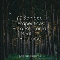 Viaje De Felicidad - Relajar & Masaje Tantrico Musica Colección & Saludo al Sol Sonido Relajante