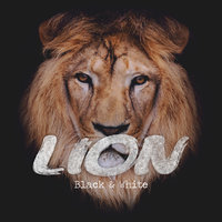DNA - Lion