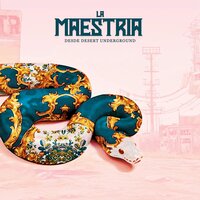 El gavilan II - La Maestria