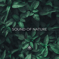 Marine - Rain for Deep Sleep