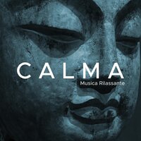Rilassamento - 101 Musica Classica Artisti & Calming Music Academy & Calming Music Academy & 101 Musica Classica Artisti