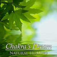 Ki of Life - Chakra's Dream