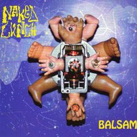 Orange Dolphins - Naked Lunch
