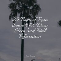 White Noise Splashing Rain Drops - Meditation & Stress Relief Therapy & Binaural Creations & Rain Forest FX