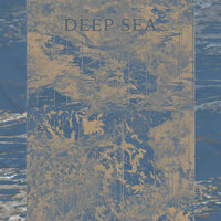 Deep Forest - Kim Dong Kyo