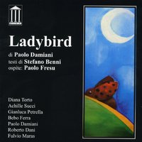 Nel mare sconfinato di un segreto - Paolo Damiani
