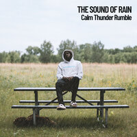 Soothing Rumble - Weather and Nature Recordings & Nature Recordings & Easy Listening Background Music