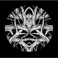 Conquer Fear - Pfirter