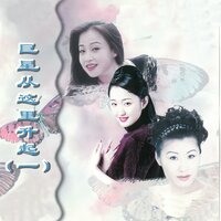 胭脂红 - 张迈