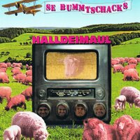 Mainz-Weisenhaus II - Se Bummtschacks