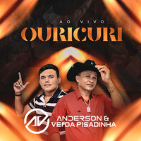 Aqui o Sistema é Bruto - Anderson & Vei da Pisadinha