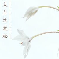 永远不分离 - 宝贝歌曲